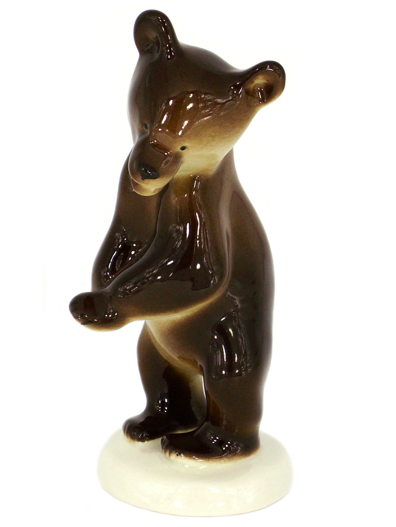 lomonosov racoon